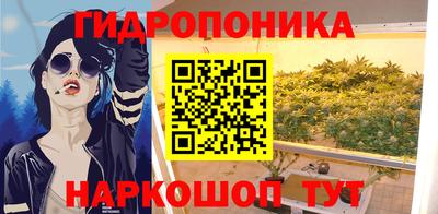 гидропоника Будённовск