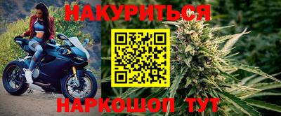 гидропоника Будённовск