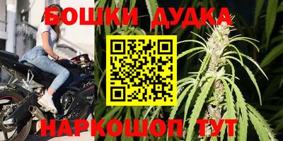 гидропоника Будённовск