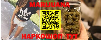 гидропоника Будённовск