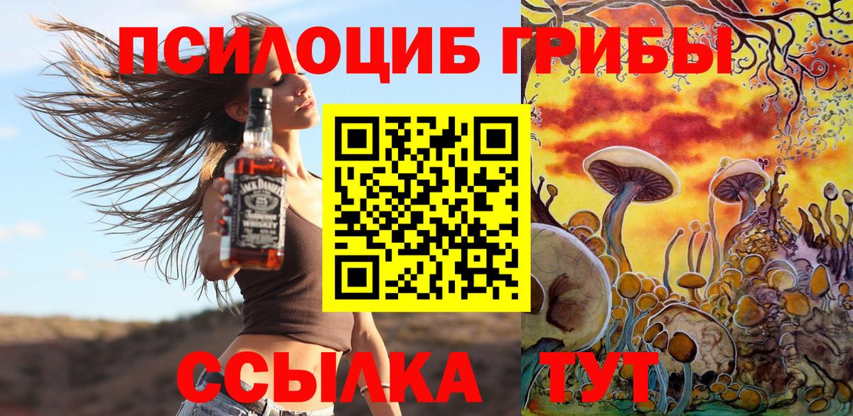 Галлюциногенные грибы прущие грибы  Галлюциногенные грибы Psilocybe  Армавир  Вход с VPN 